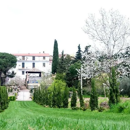 Barone Di Brancato Bed & Breakfast Sessa Aurunca
