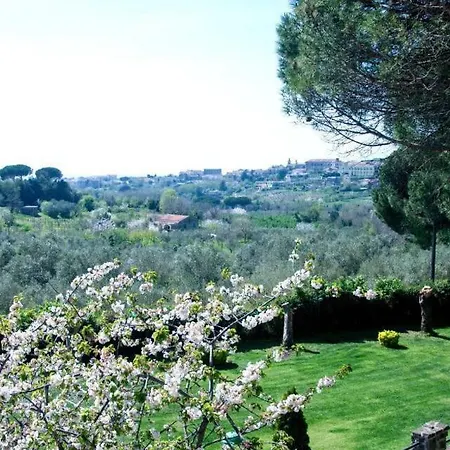 Barone Di Brancato Bed & Breakfast *