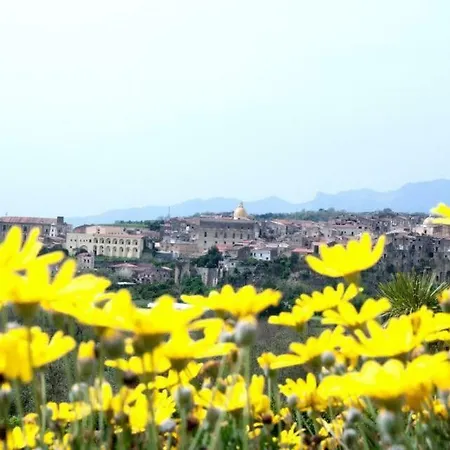 Barone Di Brancato Sessa Aurunca