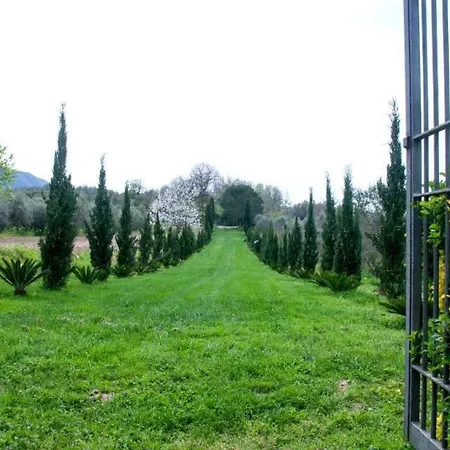 Bed & Breakfast Barone Di Brancato *